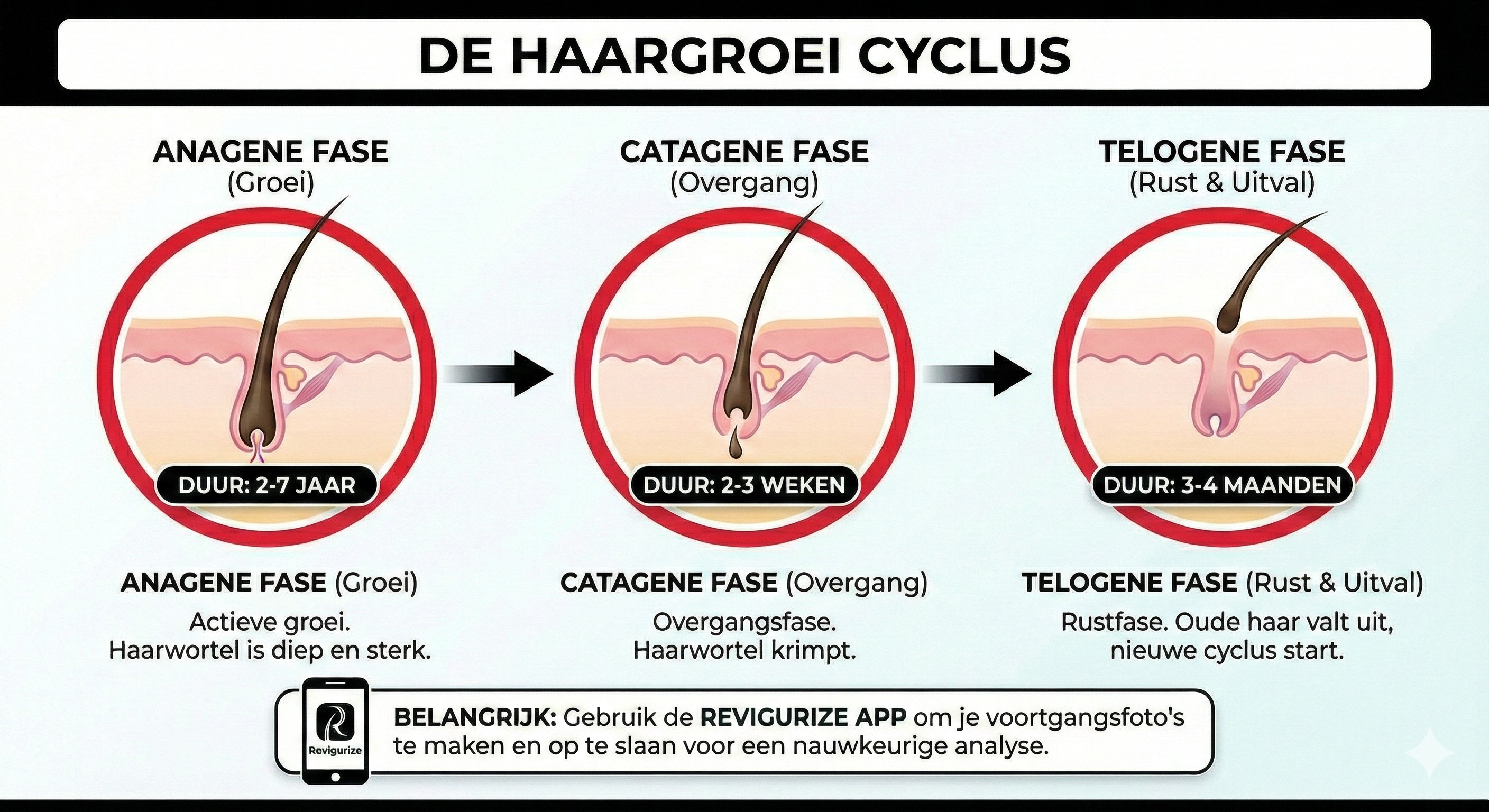 Haargroei kost tijd — dit is wat je écht kunt verwachten