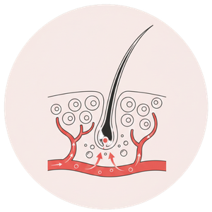 Voeding van binnenuit